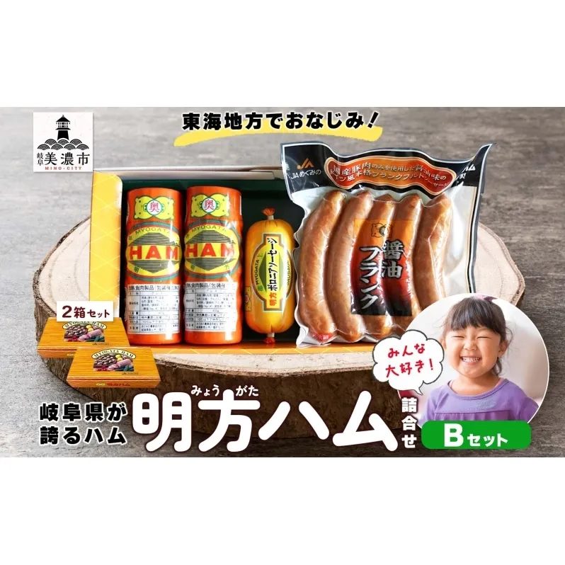 明方 ハム Bセット ボロニア ソーセージ フランクフルト JA ブランド 高級 豚肉 お肉 国産 熟成 塩分 控えめ 天然 豚腸 バーベキュー BBQ 加工品 お取り寄せ 贈答 ギフト 送料無料 めぐみの農業協同組合 岐阜県 美濃市