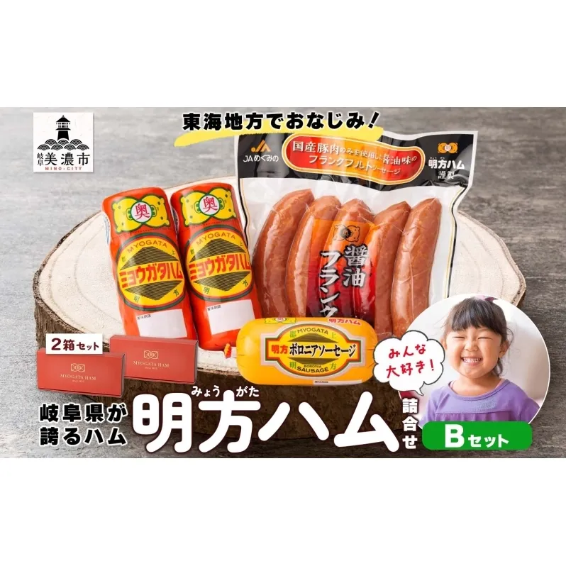 明方 ハム Bセット ボロニア ソーセージ フランクフルト JA ブランド 豚肉 お肉 国産 熟成 塩分 控えめ 豚腸 バーベキュー BBQ 加工品 お取り寄せ 贈答 ギフト 送料無料 めぐみの農業協同組合 岐阜県 美濃市