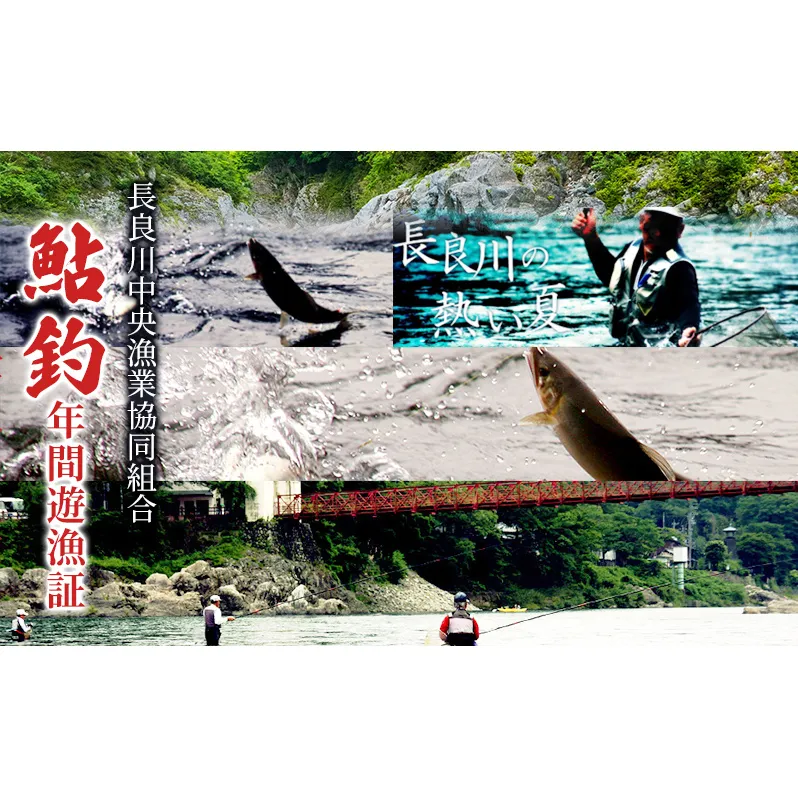 鮎釣年間遊漁証 