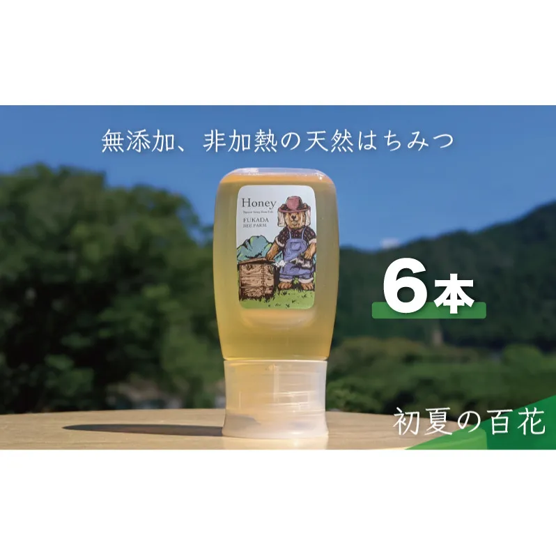 【先行予約 2025年6月20日より発送】合計1800g 天然蜂蜜 国産蜂蜜 非加熱 生はちみつ 岐阜県 美濃市産 初夏 (蜂蜜300g入りピタッとボトル6本セット) B17 深田養蜂のハチミツ