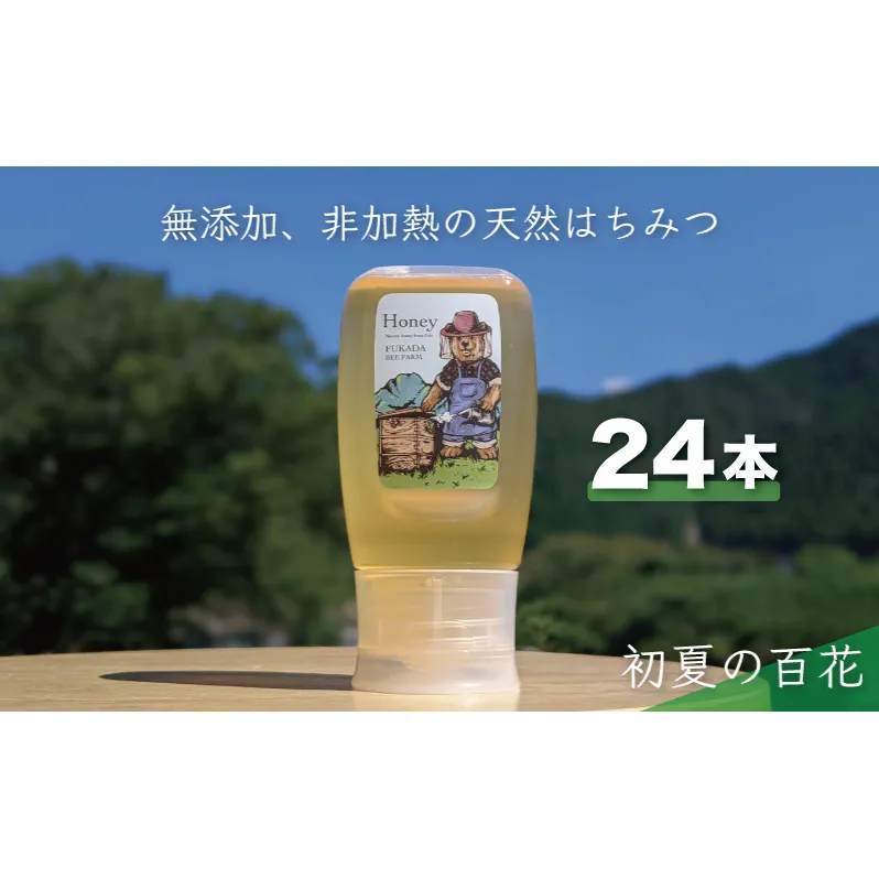 【先行予約 2025年6月20日より発送】合計7200g 天然蜂蜜 国産蜂蜜 非加熱 生はちみつ 岐阜県 美濃市産 初夏 (蜂蜜300g入りピタッとボトル24本セット) B19 深田養蜂のハチミツ