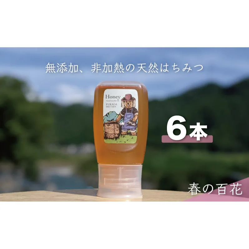 【先行予約 2025年6月20日より発送】合計1800g 天然蜂蜜 国産蜂蜜 非加熱 生はちみつ 岐阜県 美濃市産 春 (蜂蜜300g入りピタッとボトル6本セット) A17 深田養蜂のハチミツ