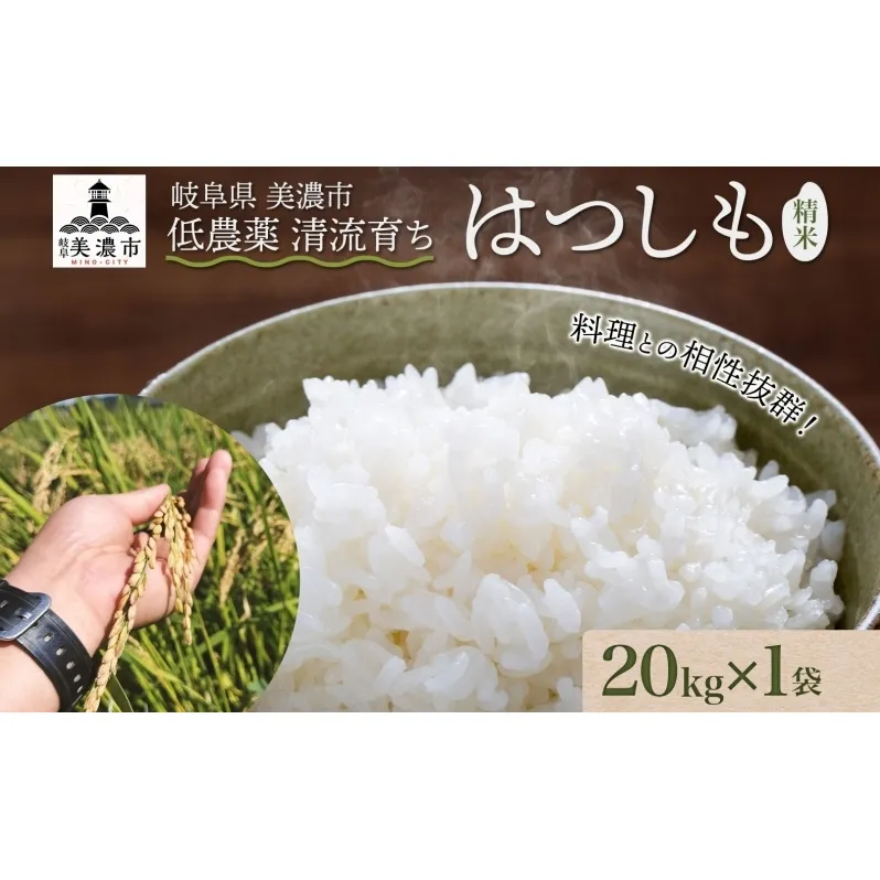 【先行予約】令和7年産 低農薬 清流育ち はつしも 精米 20kg×1袋 計20kg 新米 お米 精白米 白米 米 ごはん 米 ご飯 ハツシモ あっさり ブランド米 大粒 美濃グリーン 岐阜県 美濃市