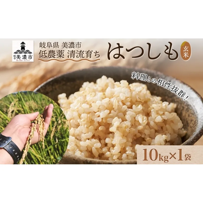 令和6年産 低農薬 清流育ち はつしも玄米 10kg×1袋 新米 お米 米 ごはん ご飯 ハツシモ あっさり ふっくら ブランド米 大粒 幻の米 お取り寄せ 自家用 贈答用 贈り物 御礼 プレゼント 産地直送 産直 送料無料 美濃グリーン 岐阜県 美濃市