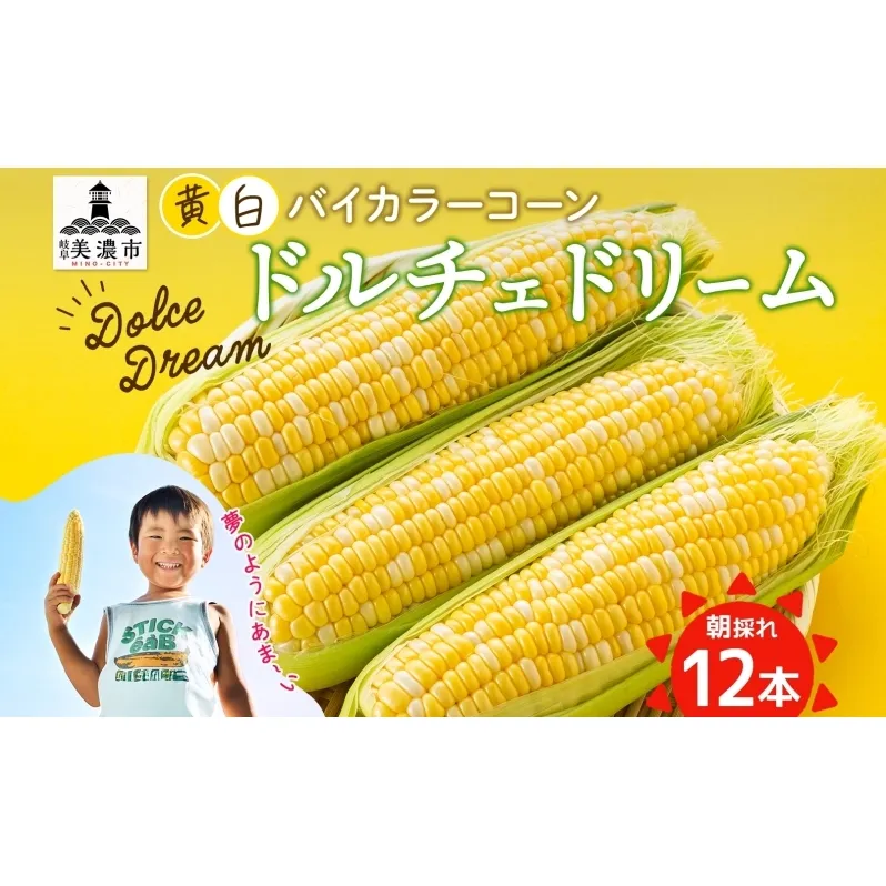 とうもろこし ドルチェドリーム 300g以上×12本 約3.6kg コーン もろこし バイカラー 白 黄 低農薬 高糖度 18度 甘い ジューシー 野菜 おやつ 旬 産地直送 送料無料 美濃グリーン 岐阜県 美濃市