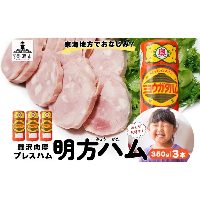 明方 ハム 3本 プレスハム JA ブランド 豚肉 お肉 国産 熟成 塩分 控えめ 豚腸 バーベキュー BBQ 加工品 お取り寄せ 贈答 ギフト 送料無料 めぐみの農業協同組合 岐阜県 美濃市