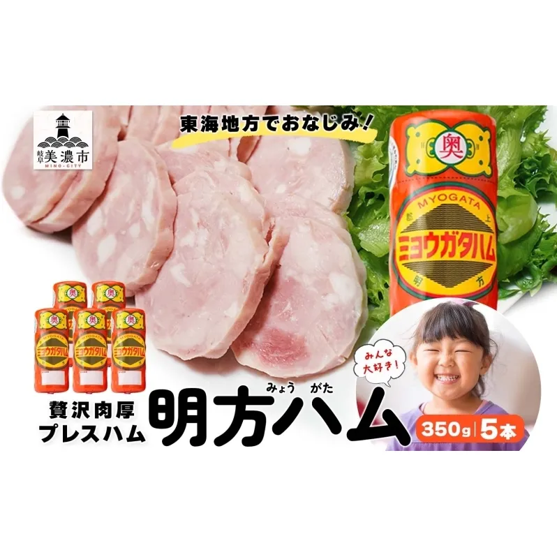 明方 ハム 5本 プレスハム JA ブランド 豚肉 お肉 国産 熟成 塩分 控えめ 豚腸 バーベキュー BBQ 加工品 お取り寄せ 贈答 ギフト 送料無料 めぐみの農業協同組合 岐阜県 美濃市