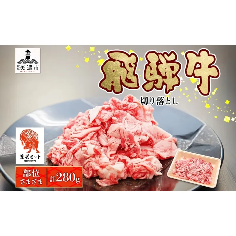 飛騨牛 切り落とし 280g×1P 国産 国産牛 牛肉 肉 牛 日本産 和牛 BBQ 焼き肉 赤身 小分け 便利 冷凍保存 一人暮らし 牛丼 肉じゃが 煮物 焼く 簡単調理 薄切り 飛騨牛切り落とし カレー ビーフシチュー 贈答品 お取り寄せ 送料無料 岐阜県 美濃市