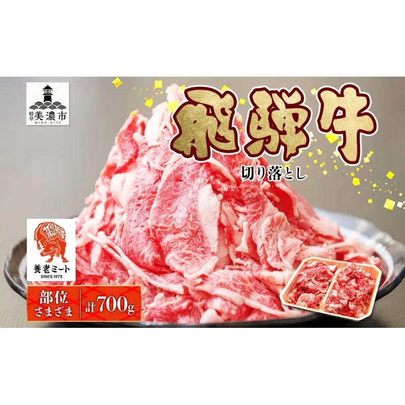 飛騨牛 切り落とし 350g×2P 国産 国産牛 牛肉 肉 牛 日本産 和牛 BBQ 焼き肉 赤身 小分け 便利 冷凍保存 一人暮らし 牛丼 肉じゃが 煮物 焼く 簡単調理 薄切り 飛騨牛切り落とし カレー ビーフシチュー 贈答品 お取り寄せ 送料無料 岐阜県 美濃市
