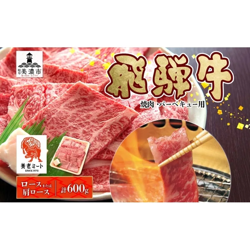 飛騨牛 ロースor肩ロース 焼き肉・BBQ用 計600g ロース肉 ロース 肩ロース肉 肩ロース 肉 お肉 牛 牛肉 和牛 国産牛 国産 日本産 BBQ 焼肉 焼き肉 冷凍保存 小分け イベント 一人暮らし お取り寄せグルメ ご当地 岐阜県 美濃市