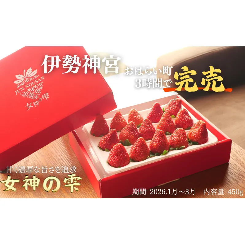 【伊勢神宮おはらい町で3時間で完売】グルメ家が「今までで1番旨い」とうなったイチゴ【女神の雫】 2026年1月 2月 3月 4月 450g 岐阜県 美濃市 じゅん農産 2 苺