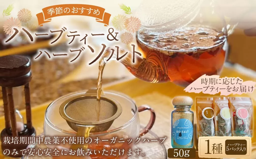 【ハーブ専門店】ハーブソルト（50g）＆季節のハーブティー（1種 5パック） | お茶 ハーブティー ハーブ 塩 ソルト ブレンド 調味料