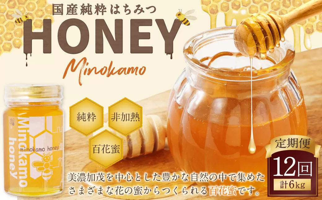 【12ヶ月定期便】国産 無添加 MINOKAMO HONEY はちみつ 1本（500g）×12回｜ 藤井養蜂 蜂蜜 ハニー 純粋 非加熱 百花蜜 定期便 岐阜
