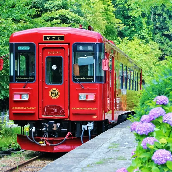 観光列車 「ながら」 スイーツ プラン 予約券(シングル) | 観光 予約 券 1名様 長良川鉄道 長良川 鉄道