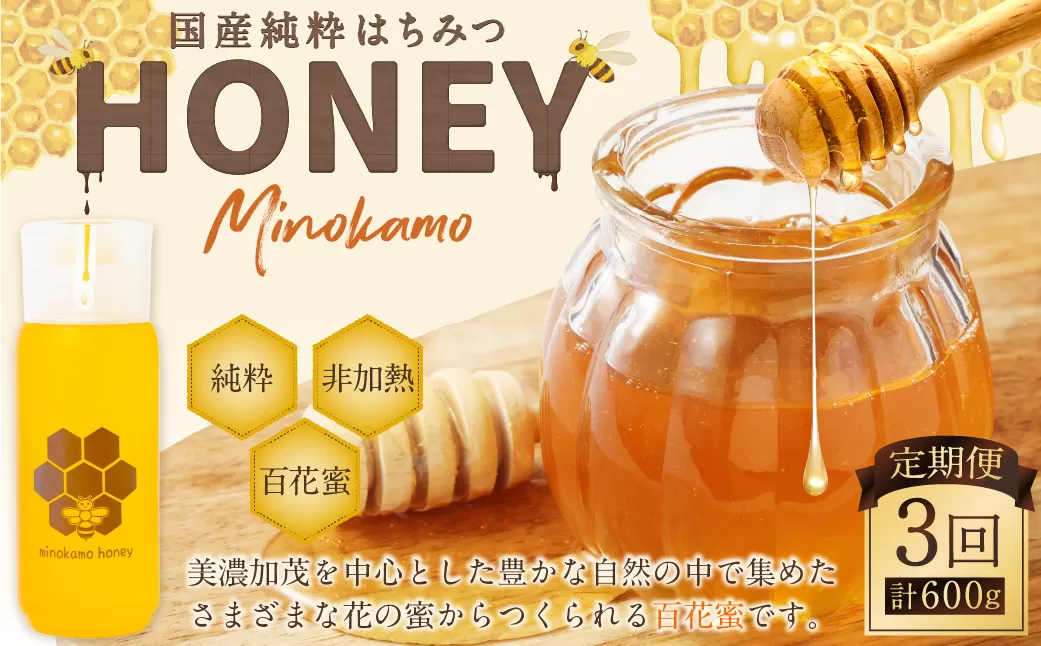 【3ヶ月定期便】国産 無添加 MINOKAMO HONEY はちみつ 1本（200g）×3回 ｜ 藤井養蜂 蜂蜜 ハニー 非加熱 純粋 百花蜜 定期便 岐阜