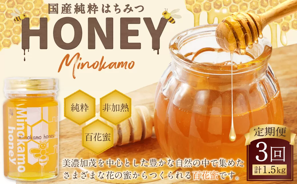 【3ヶ月定期便】国産 無添加 MINOKAMO HONEY はちみつ 1本（500g）×3回 ｜ 藤井養蜂 蜂蜜 ハニー 非加熱 純粋 百花蜜 定期便 岐阜
