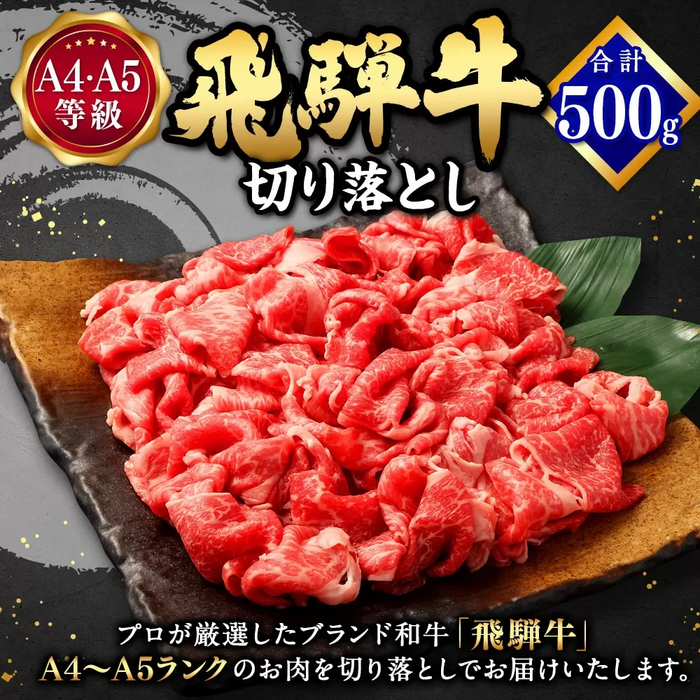 飛騨牛 A4 A5 等級 切り落とし 500g | 肉のかた山 牛肉 牛 肉 焼肉 すき焼き しゃぶしゃぶ 和牛 黒毛和牛 国産 M11S66