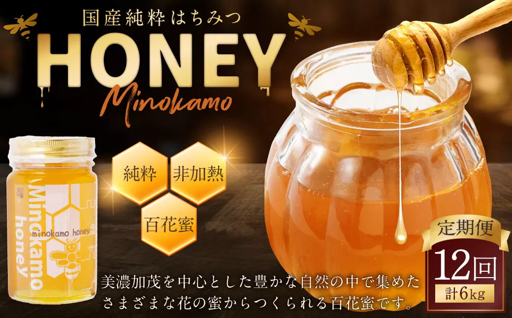 【12ヶ月定期便】国産 無添加 MINOKAMO HONEY はちみつ 1本（500g）×12回｜ 藤井養蜂 蜂蜜 ハニー 純粋 非加熱 百花蜜 定期便 岐阜