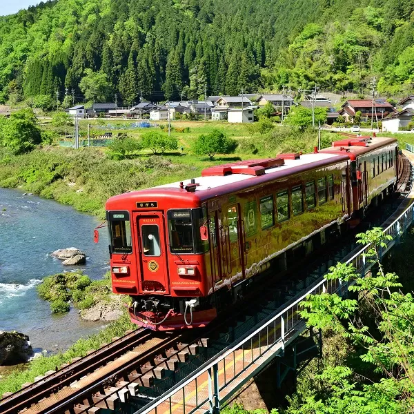 観光列車「ながら」ランチプラン 予約券(乗車券)(シングル)| 観光 ランチ 予約 券 1名様 長良川鉄道 長良川 鉄道