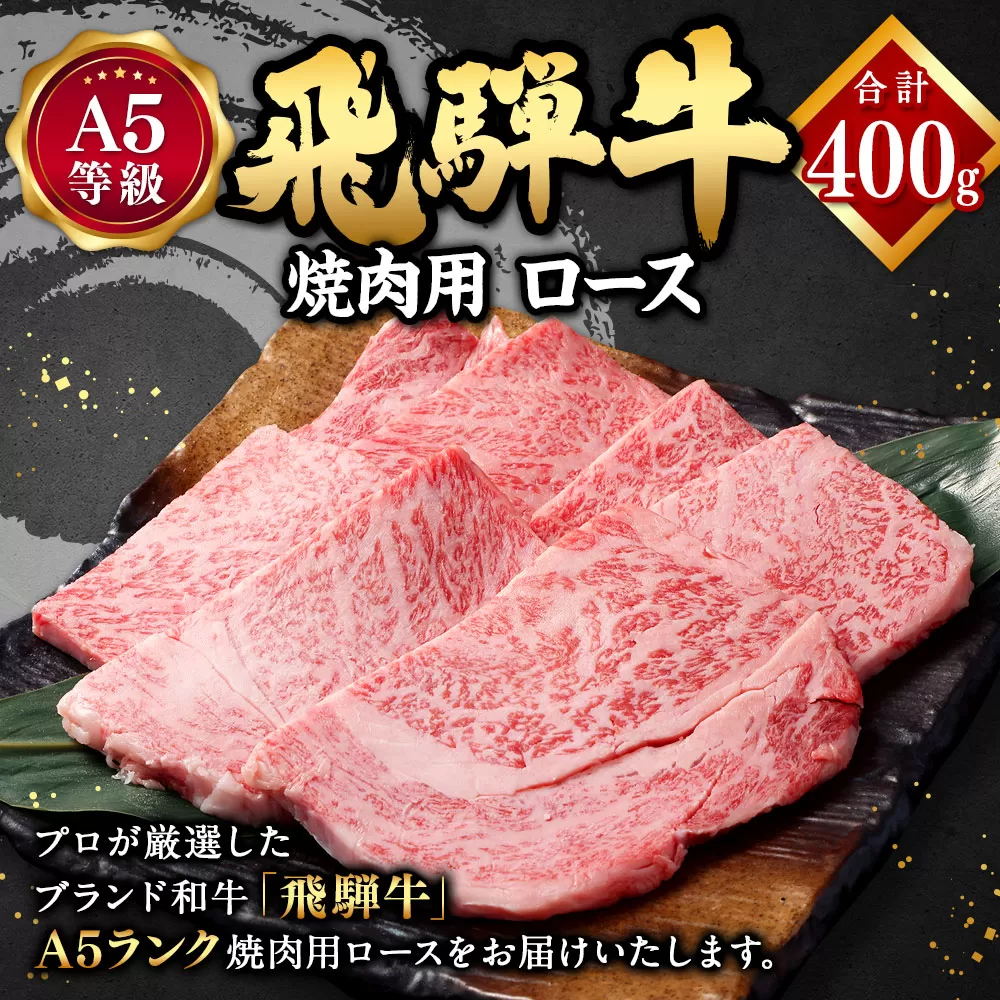 飛騨牛 A5 等級 焼肉 用 （ ロース 400g） | 肉のかた山 牛肉 牛 肉 焼き肉 和牛 黒毛和牛 国産 M22S38