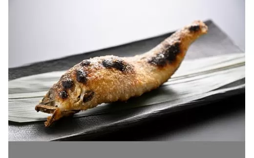 69 うなぎ屋たむろの岐阜の鮎 塩焼き１０尾セット