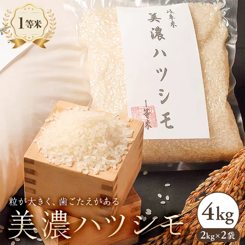 美濃ハツシモ 1等米4kg(2kg×2袋) 0021-006 [米 お米 ご飯 岐阜 一等米 歯ごたえ あっさり 精米 国産 食品]