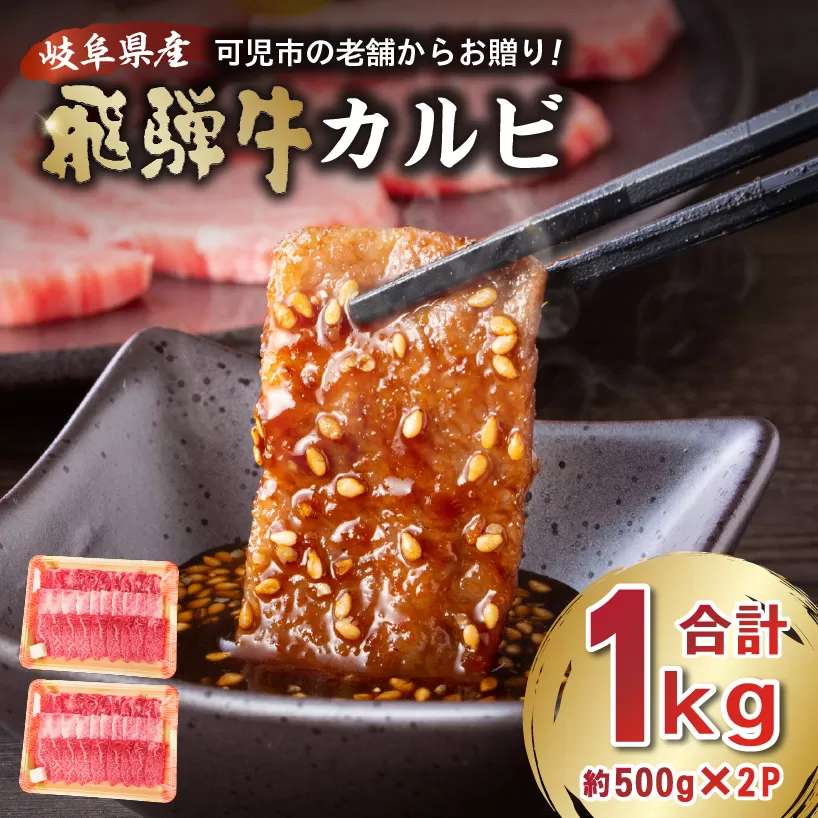 飛騨牛カルビ1kg（500g×2）　0016-055 焼肉 肉 牛肉 カルビ 焼肉用 おうち焼肉 BBQ バーベキュー 肉 花見 和牛 国産牛 黒毛和牛