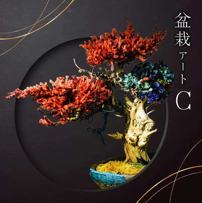 盆栽アート[C] 0120-003[ 盆栽 アート 伝統文化 インテリア ディスプレイ 再生 植物]