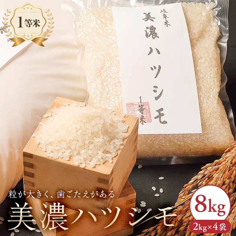 美濃ハツシモ 1等米 8kg(2kg×4袋) 0021-007 [米 お米 ご飯 岐阜 一等米 歯ごたえ あっさり 精米 国産 食品]