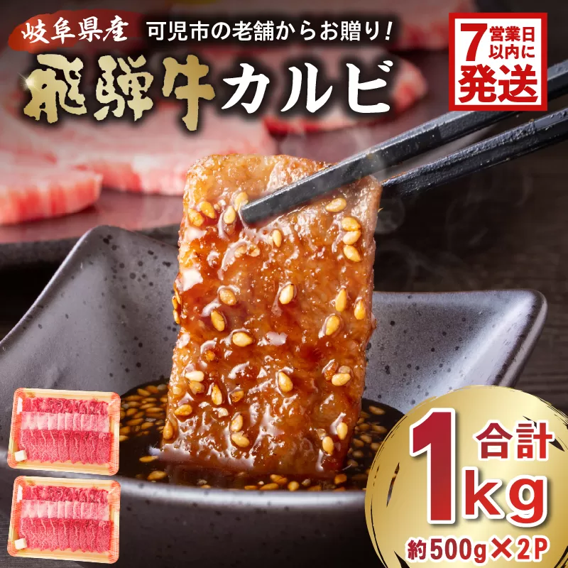 【7営業日以内発送】 飛騨牛カルビ1kg（500g×2）　0016-055 焼肉 肉 牛肉 カルビ 焼肉用 おうち焼肉 BBQ バーベキュー 肉 花見 和牛 国産牛 黒毛和牛
