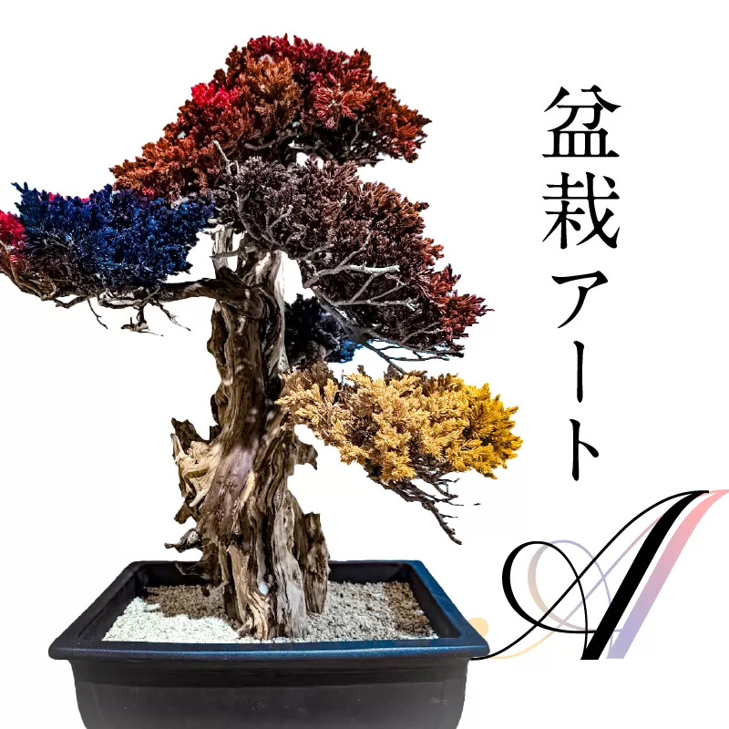盆栽アート【A】　0120-001【 盆栽 アート 伝統文化 インテリア ディスプレイ 再生 植物】