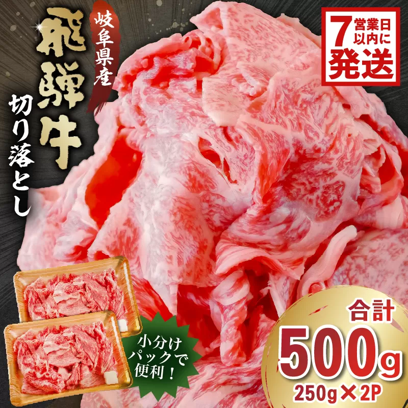 【7営業日以内発送】 飛騨牛切り落とし500g（250g×2）　0016-017 牛肉 カレー シチュー 牛丼 肉じゃが 牛しぐれ煮 牛すき煮 炒め物 肉 国産 和牛 ブランド牛 ブランド 小分け パック セット 国産牛 お肉 ロース 赤身 バラ 冷凍