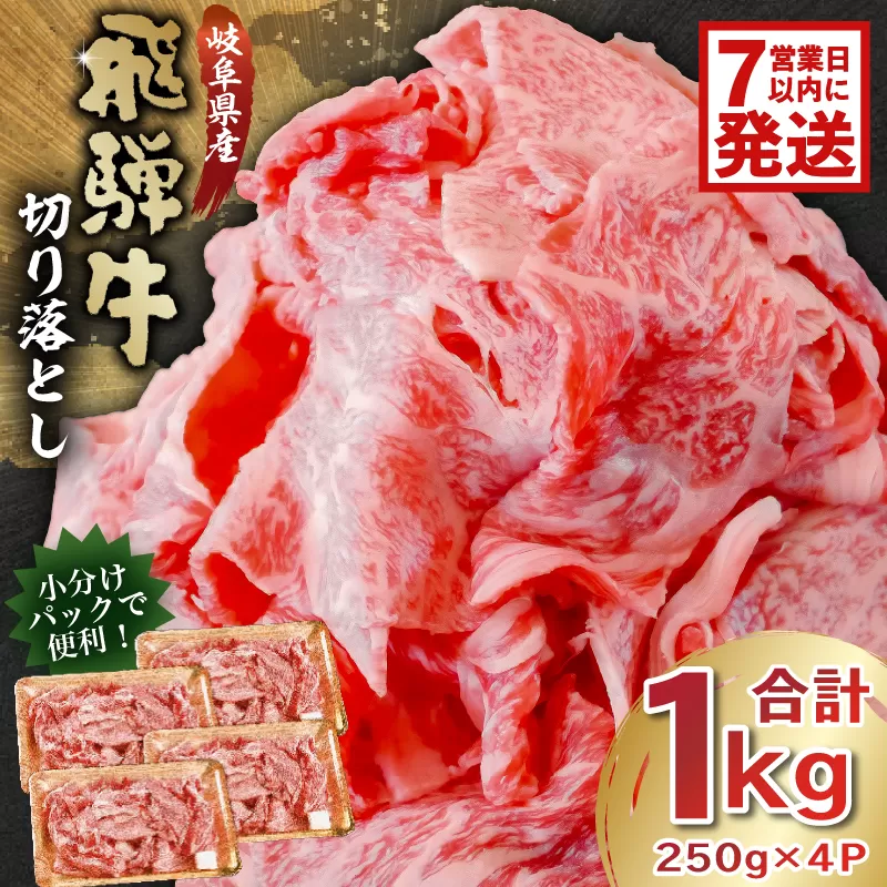 飛騨牛切り落とし1kg（250g×4）　0016-019-1w 【 牛肉 カレー シチュー 牛丼 肉じゃが 牛しぐれ煮 炒め物 肉 国産 和牛 ブランド牛 ブランド 小分け パック セット 国産牛 お肉 ロース もも 赤身 バラ 】