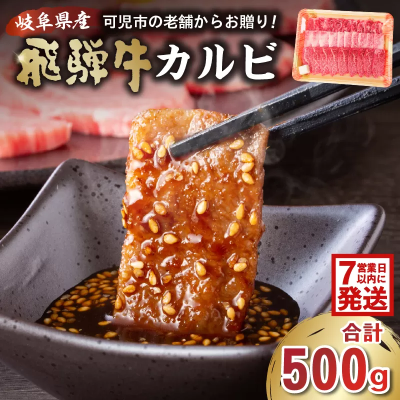 飛騨牛カルビ500g 0016-054-1w [ 焼肉 BBQ バーベキュー 肉 牛肉 和牛 ブランド牛 黒毛和牛 国産 赤身 脂身 霜降り やわらか 旨味 甘み カルビ丼 ]