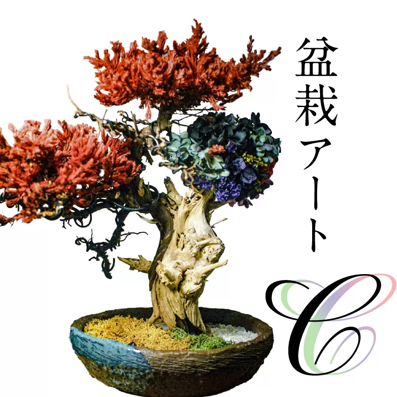 盆栽アート[C] 0120-003[ 盆栽 アート 伝統文化 インテリア ディスプレイ 再生 植物]