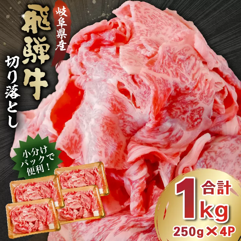  飛騨牛切り落とし1kg（250g×4）　0016-019 牛肉 カレー シチュー 牛丼 肉じゃが 牛しぐれ煮 炒め物 肉 国産 和牛 ブランド牛 ブランド 小分け パック セット 国産牛 お肉 ロース もも 赤身 バラ