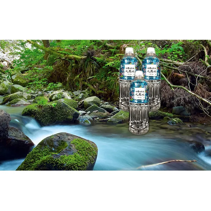 【定期便】四季の恵み天然水　550ml　48本　5ヶ月連続届