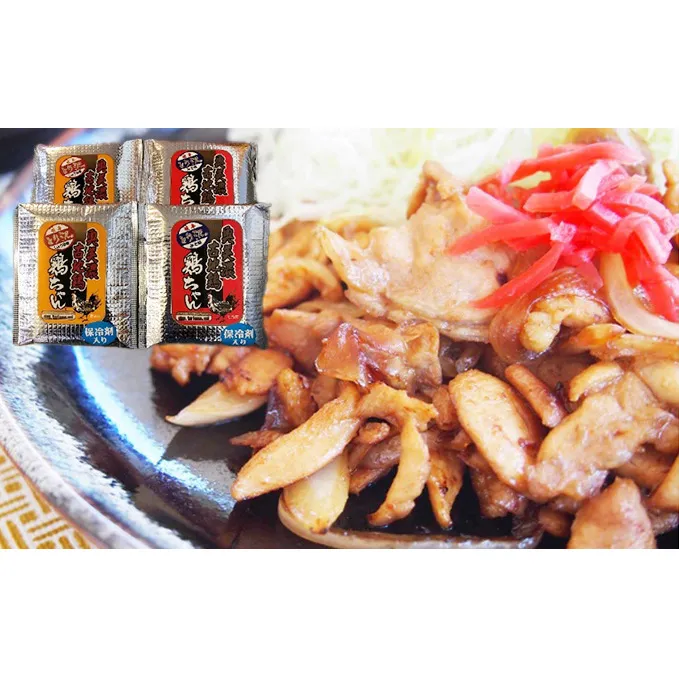 とり沢の奥美濃古地鶏 鶏ちゃんセット 加工品 惣菜 冷凍 郷土料理 若鶏 味噌 醤油 味付 お鍋 国産