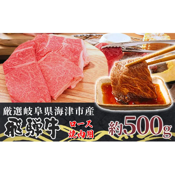 【飛騨牛】海津市産ロース焼肉オリジナルカット 【配達不可：離島】 お肉 牛肉 焼肉用 バーベキュー ロース肉 ブランド牛 国産 岐阜県産 柔らかい肉質 サシ 霜降り とろける