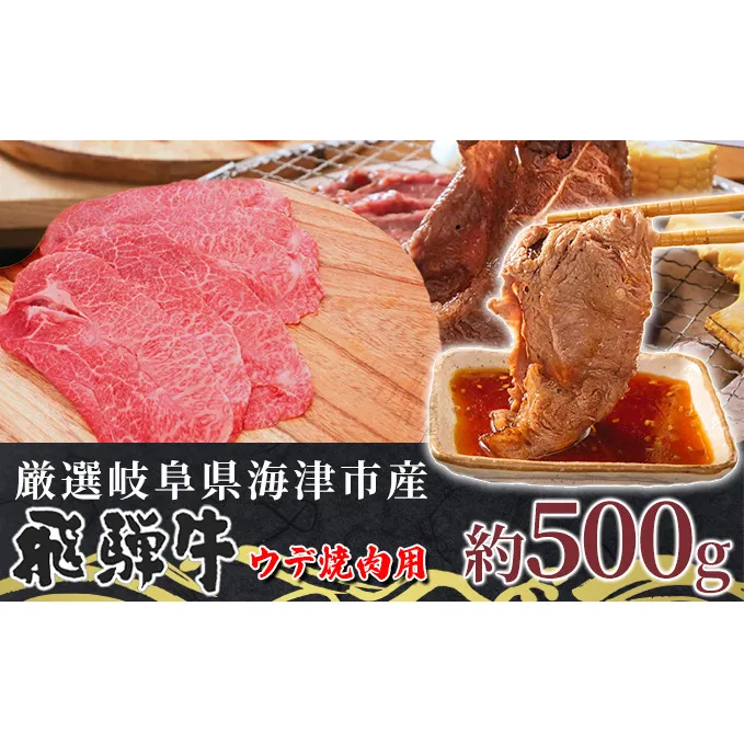 【飛騨牛】海津市産ウデ焼肉オリジナルカット 【配達不可：離島】 お肉 牛肉 焼肉用 バーベキュー ブランド牛 国産 岐阜県産 肩 赤身 サシ 霜降り 濃厚 旨味 脂身が少ない ダイエット おうち焼肉