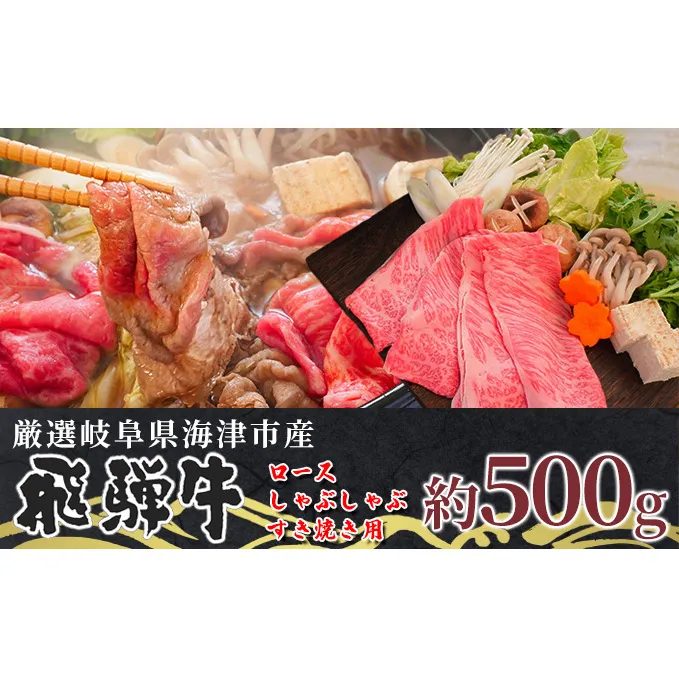【飛騨牛】海津市産ロースしゃぶしゃぶすき焼き用スライス 【配達不可：離島】 お肉 牛肉 国産 岐阜県産 ブランド牛 柔らかい サシ 霜降り とろける 甘い脂 旨味 肉じゃが 炒め物