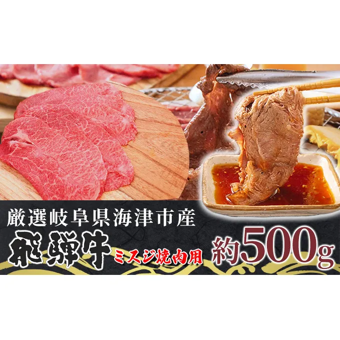 【数量限定】【飛騨牛】海津市産ミスジ焼肉オリジナルカット 【配達不可：離島】 お肉 牛肉 焼肉用 バーベキュー 国産 ブランド牛 岐阜県産 希少部位 柔らかい サシ 霜降り 口どけが良い 脂 バランス おうち焼肉