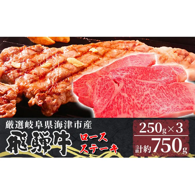 【飛騨牛】海津市産ロースステーキ250g×3 【配達不可：離島】 お肉 牛肉 ステーキ用 国産 岐阜県産 ブランド牛 夕飯 記念日 ディナー 柔らかい サシ 霜降り ボリューミー とろける 旨味