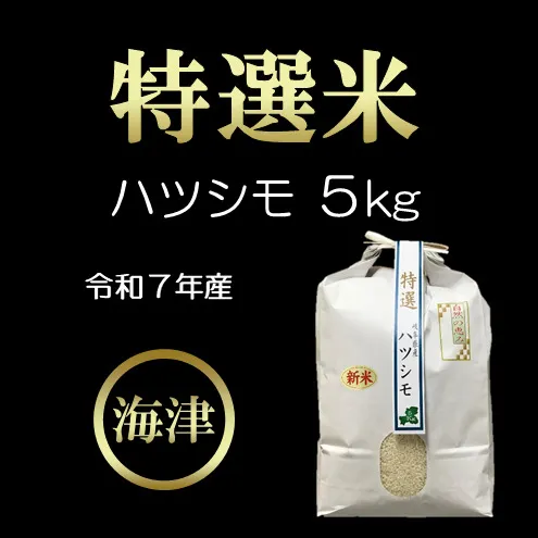 【令和7年産/白米】特選米ハツシモ（５kg）