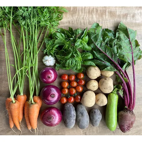 季節の野菜セット6か月連続お届け　栽培期間中　無農薬、無科学肥料