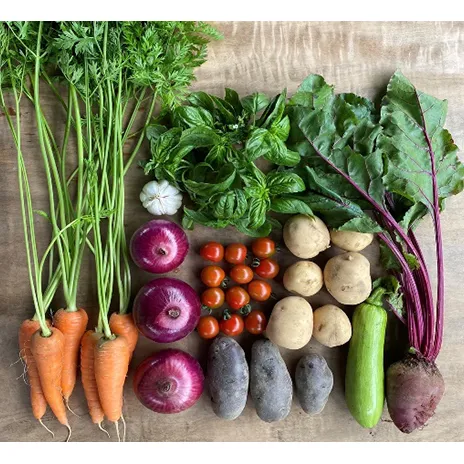 季節の野菜セット【栽培期間中　無農薬、無科学肥料】 野菜の詰め合わせ 旬の野菜 珍しい野菜 旬の食材 国産 日本産 おたのしみ 食べ物 食品 ベジタブル 春野菜 夏野菜 秋野菜 冬野菜 葉物 根菜