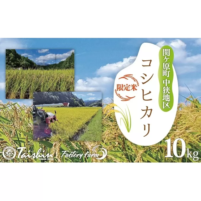 令和6年度 関ケ原町中挾地区限定米 コシヒカリ 精米 10kg 白米
