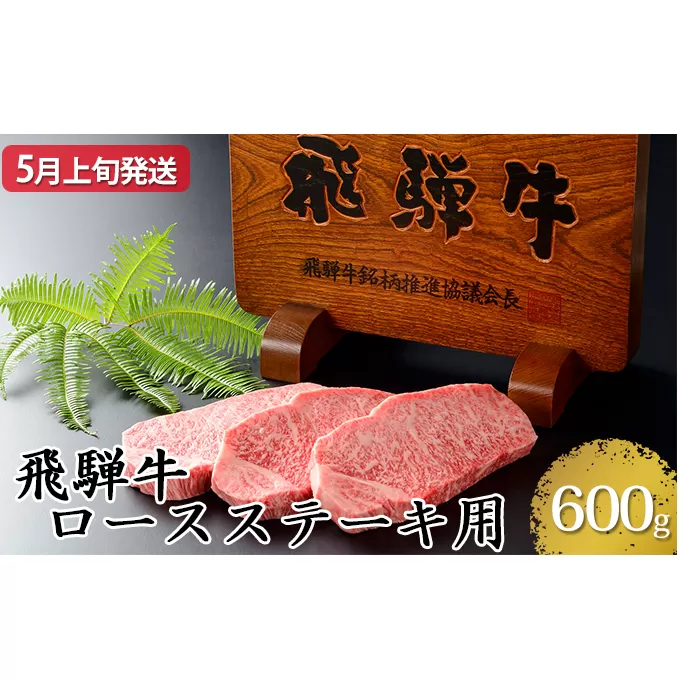 【5月上旬発送】飛騨牛ロースステーキ用600g（5等級・冷凍）