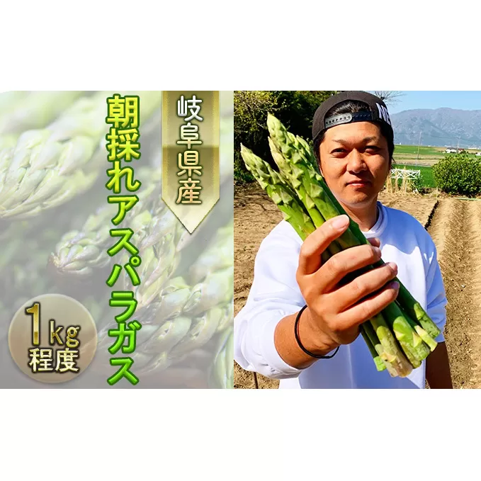 朝採れアスパラ 産地直送で鮮度抜群