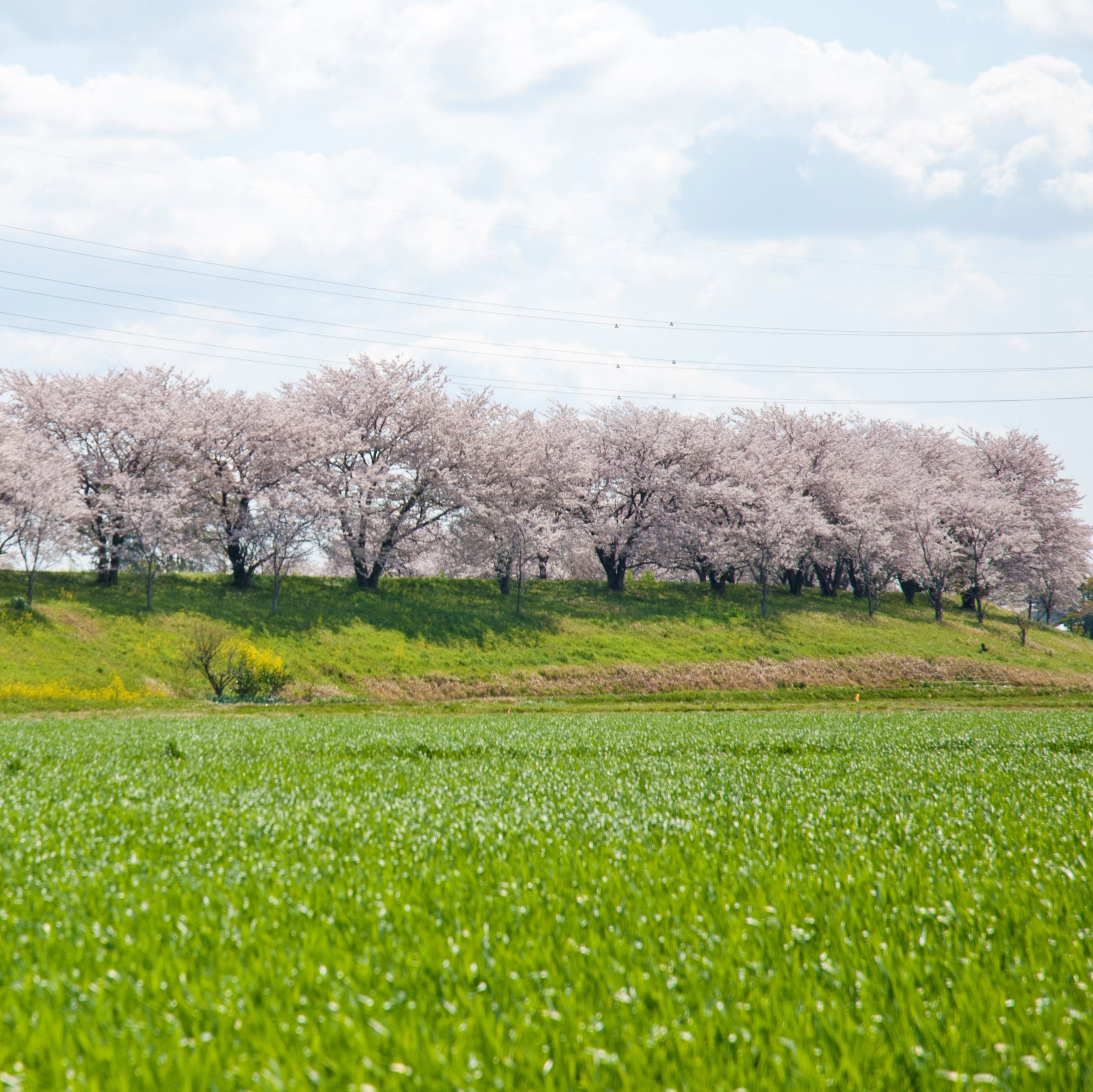 岐阜県輪之内町